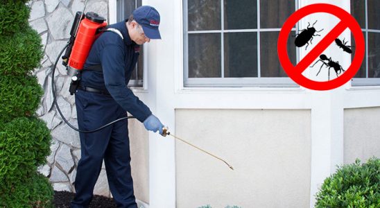 Payas Tahtakurusu İlaçlama böcek ilaçlama ve haşere kontrolü — ilaclama-tr.com